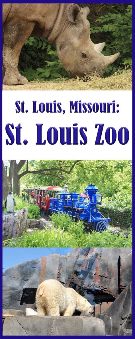 171 Zoo jobs in St Louis, Missouri, United States .